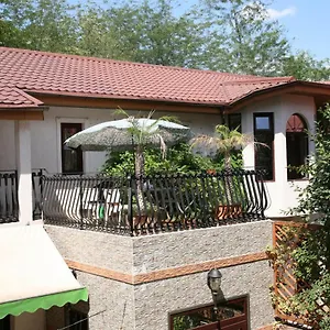 Garden And Bucureşti